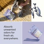 Fresh Wave Lavender Odor Eliminating & Deodorizing Packs | Bag of 6 | Safer Odor Relief for Small Spaces | Natural Plant-Based Odor Eliminator | Odor Absorbers for Home - Image 3