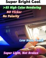 T10 194 168 LED Dome Light Bulbs, 300lm 6000K White Super Bright 2825 W5W LED Interior Bulbs, 3w AC/DC12V-24V T10 Wedge for RV Car Dome Map Door Courtesy Trunk License Plate Light, Non-Dimmable, 2pcs - Image 3