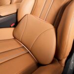 Genuine Leather Lumbar Support Pillow,Back Pain Relief Cushion,fits Tightly Around Waist,Real Cowhide,Memory Foam,fit Car Drive,Office Chair,Rest seat,Improve Posture,Portable,15.5''Lx 8.7''H