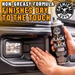 Chemical Guys AIR_SPRAY_1 Black On Black Instant Trim Shine Exterior Spray Dressing & Protectant, (Safe for Cars, Trucks, SUVs, RVs, & More) 11 fl oz - Image 10